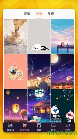 猫语翻译器[图1]