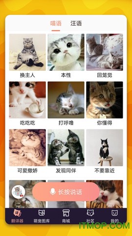 猫语翻译器截图2