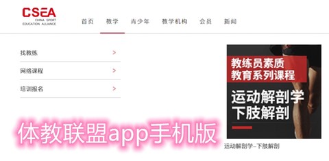 体教联盟[图1]