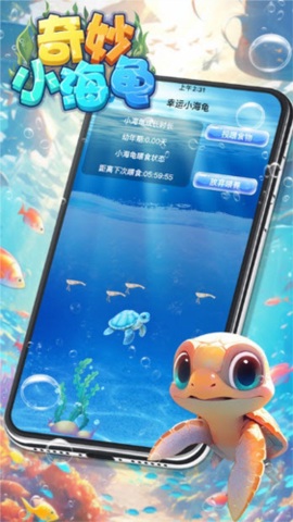 奇妙小海龟[图4]