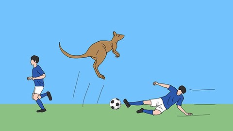 猫跨栏[图3]