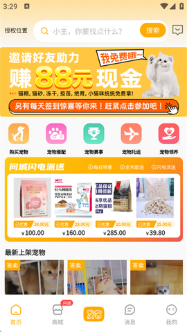 喵鑫球宠物[图1]