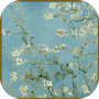 析微明茬
