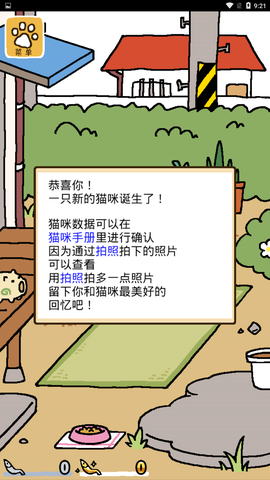 猫咪后院[图8]