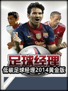 足球经理2014截图1
