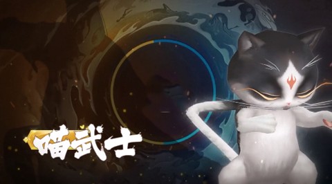功夫之夜[图1]