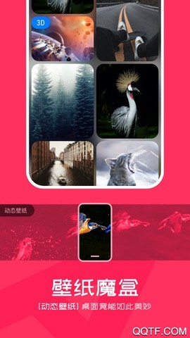 芒果桌面截图3