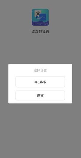 维汉翻译通[图5]