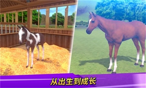 德比生活截图1