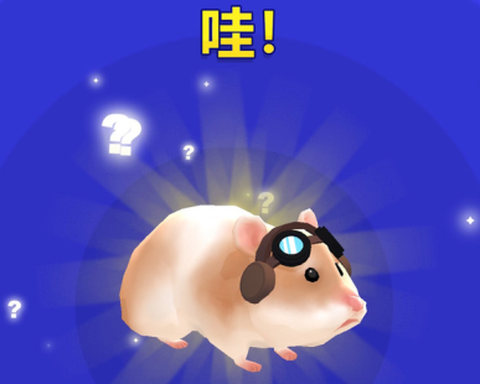 仓鼠迷宫大作战[图3]