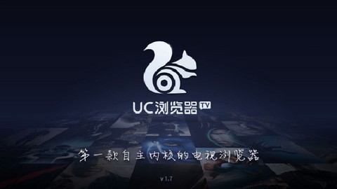 uc浏览器tv截图3