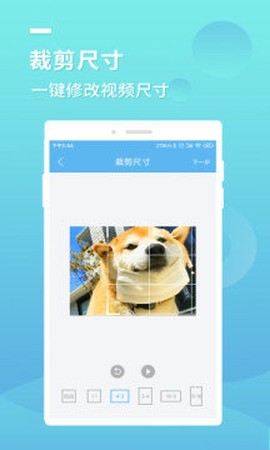 蓝莓去水印截图3