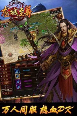 龙城至尊截图1