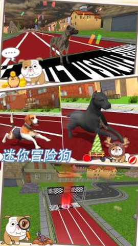 迷你冒险狗截图2