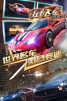 狂野飞车截图1