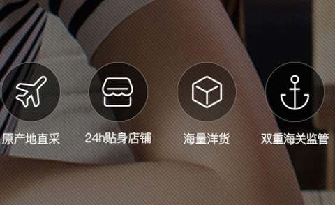 洋葱日记[图1]