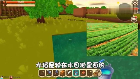 迷你世界水稻怎么获得