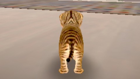 猫咪模拟器[图2]