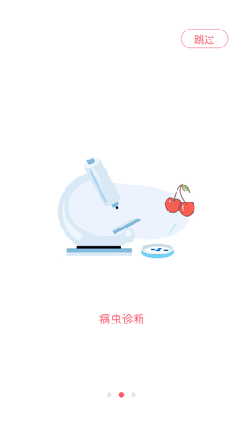 樱桃医生图2