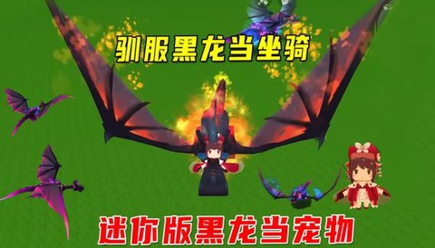 迷你世界怎么制造黑龙