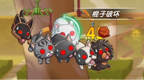 狗狗呼叫喵星[图8]