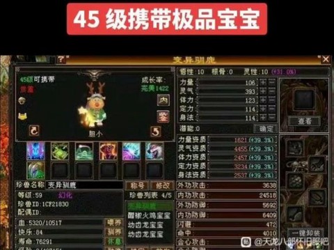 天龙八部45带什么宝宝[图1]