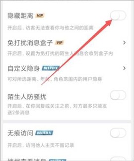 布鲁帝[图5]