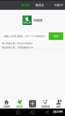 58信鸽图3