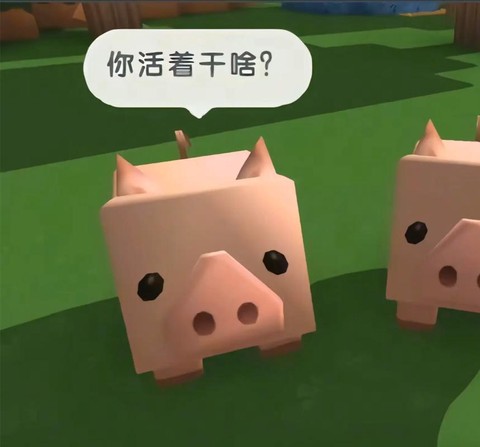 迷你世界猪仔怎么长大[图2]