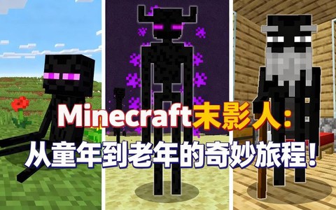 我的世界怎么养末影人[图2]