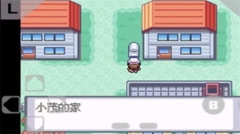 口袋妖怪火红[图2]