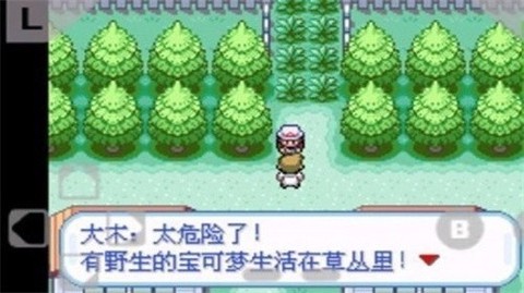 口袋妖怪火红图1