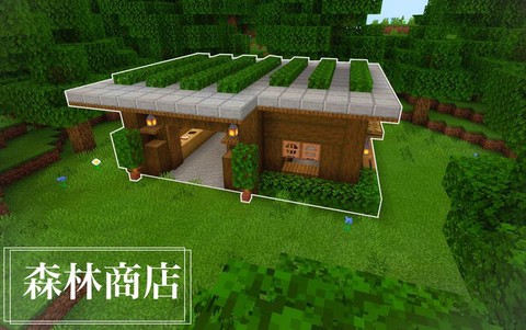 我的世界怎么进商店