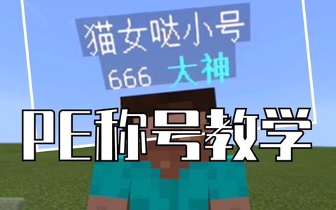我的世界怎么弄称号[图2]