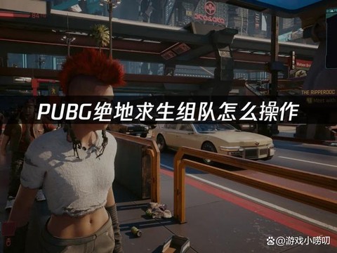绝地大逃杀怎么组队啊[图1]