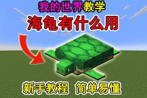 我的世界海龟有什么用[图1]