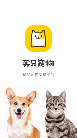买只宠物[图1]