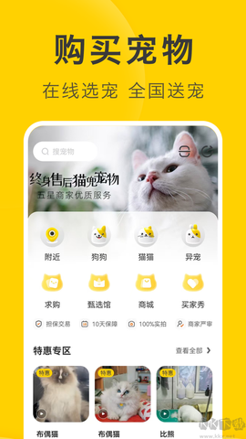 买只宠物[图2]