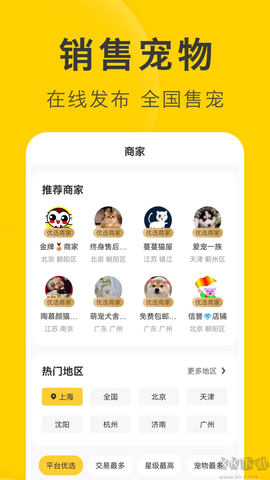 买只宠物[图3]