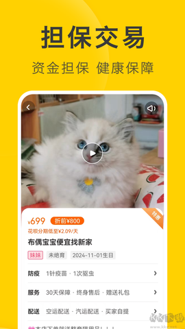 买只宠物[图4]