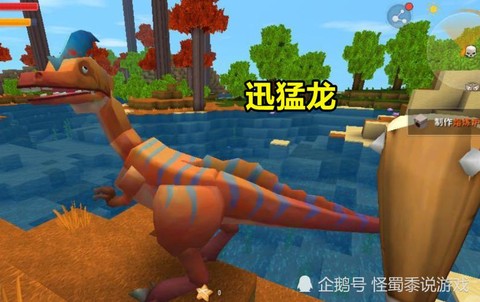 迷你世界怎么去红树林
