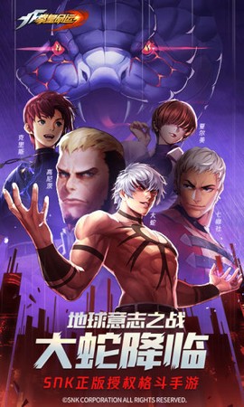 拳皇·命运图3