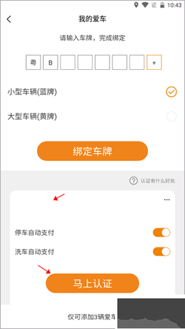 小猫爱车[图3]