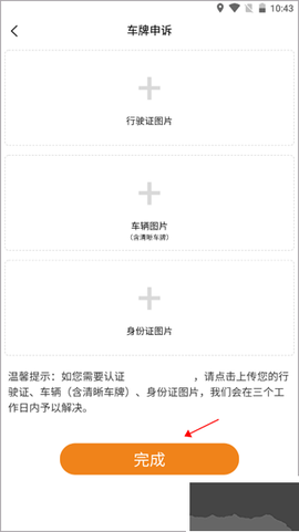 小猫爱车[图4]