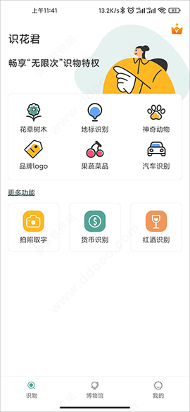 识花君[图2]