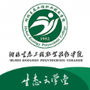 微信