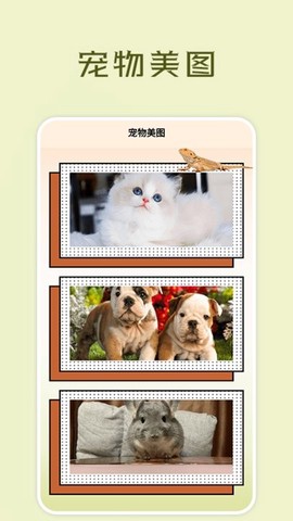 宠物小组件盒子图3