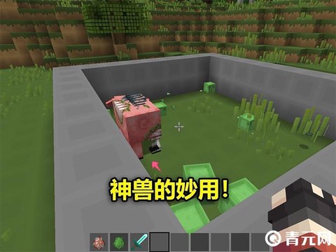 我的世界1.9.5有什么