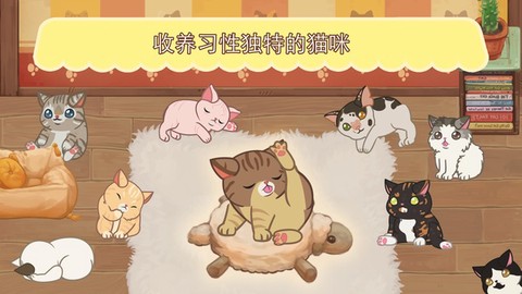 绒毛猫咪咖啡厅图2