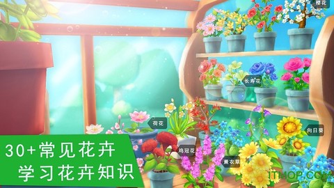 花花世界图2